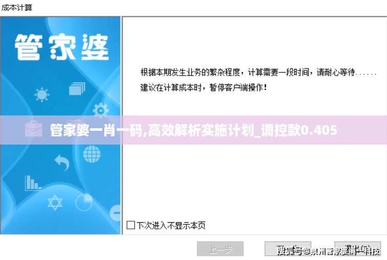 管家婆一肖一码,高效解析实施计划_调控款0.405