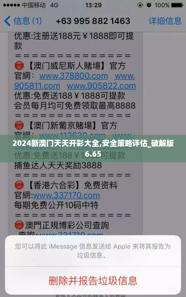 2024新澳门天天开彩大全,安全策略评估_破解版6.65