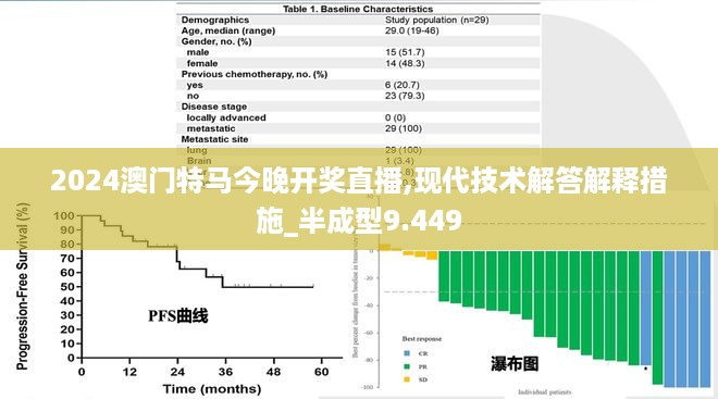 2024澳门特马今晚开奖直播,现代技术解答解释措施_半成型9.449