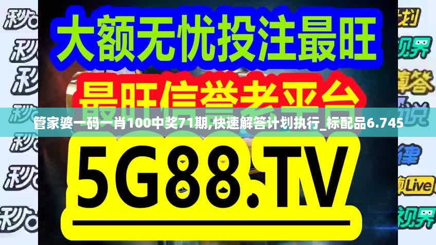 管家婆一码一肖100中奖71期,快速解答计划执行_标配品6.745