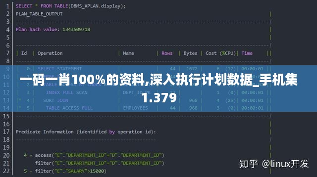 一码一肖100%的资料,深入执行计划数据_手机集1.379