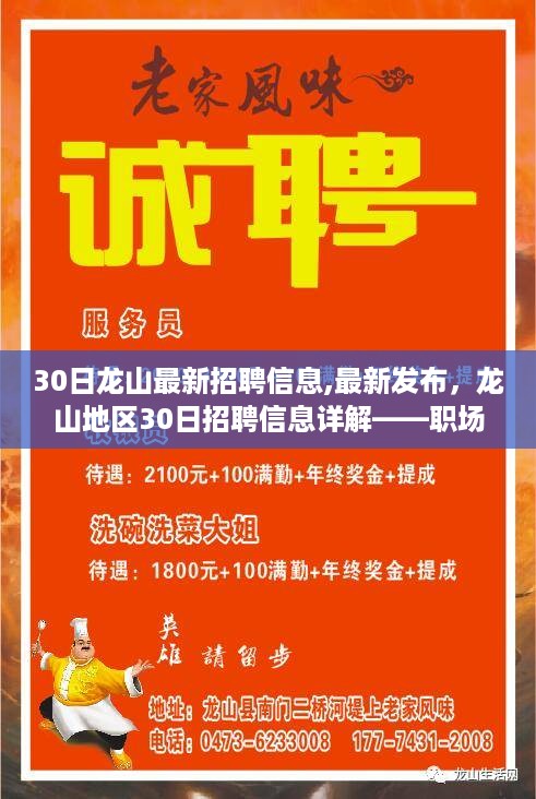 龙山地区最新招聘信息详解，职场人的新选择，30日龙山招聘信息发布