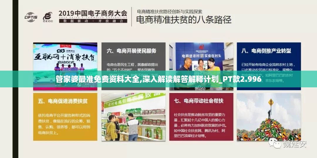 管家婆最准免费资料大全,深入解读解答解释计划_PT款2.996