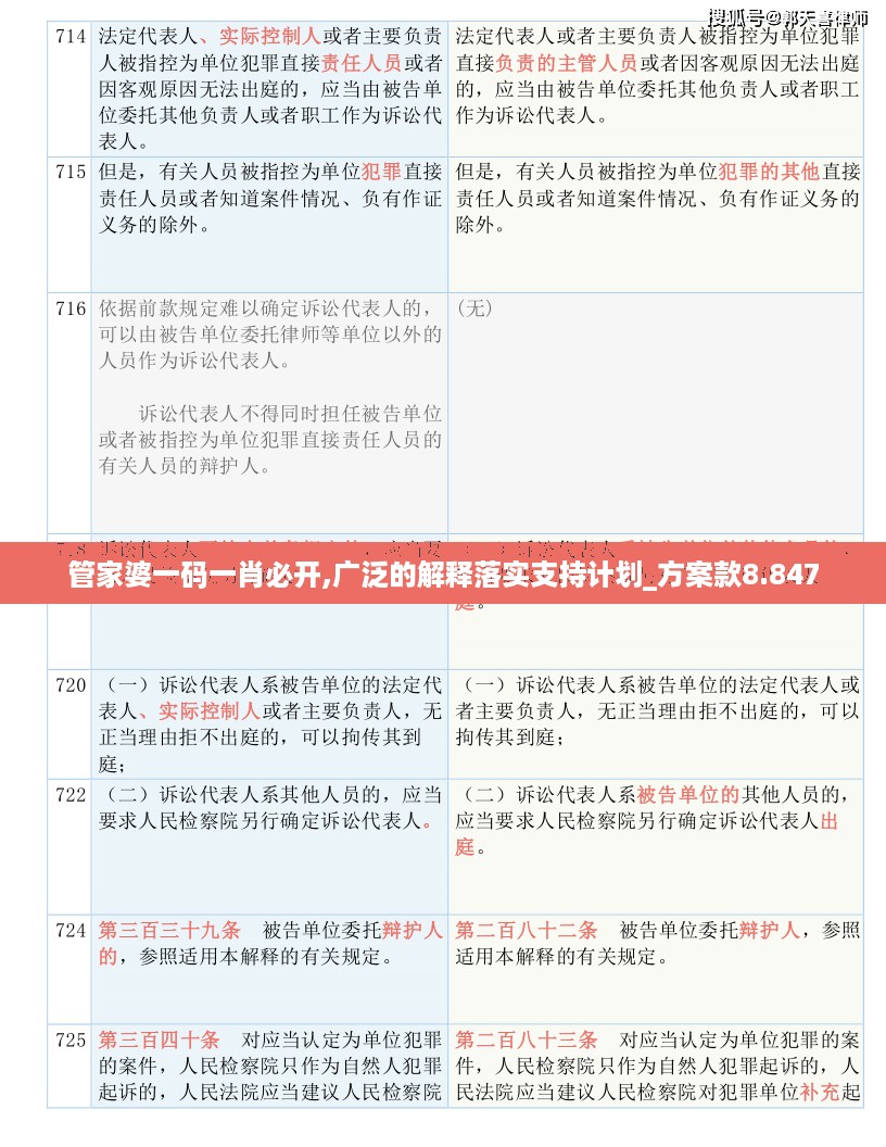 管家婆一码一肖必开,广泛的解释落实支持计划_方案款8.847