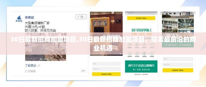 最新招商加盟项目探索，前沿商业机遇一览