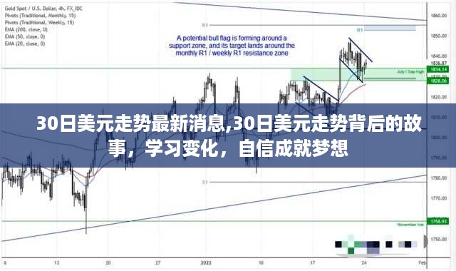 揭秘最新美元走势背后的故事，学习变化，自信成就梦想之路