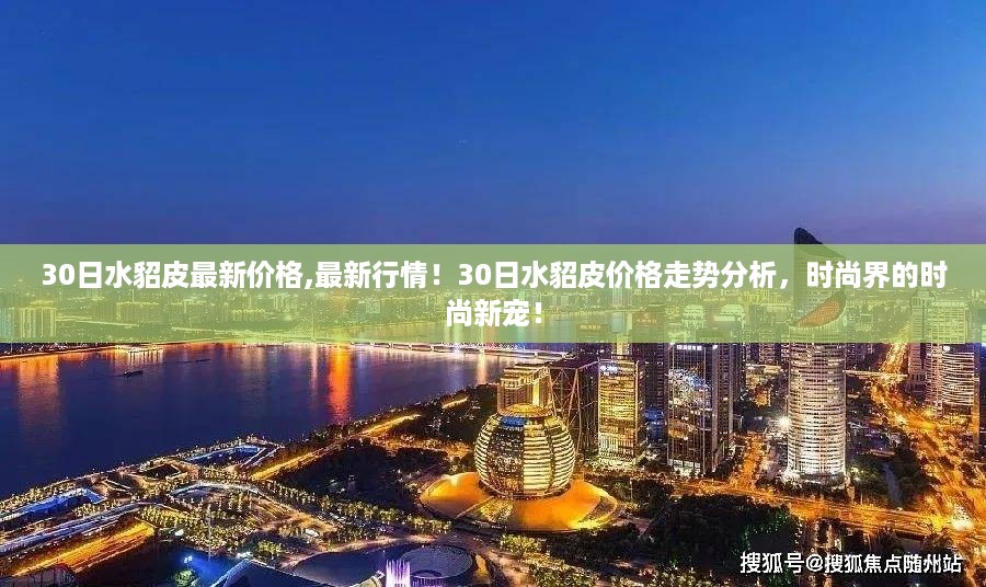 最新行情解析，水貂皮价格走势与时尚新宠的魅力