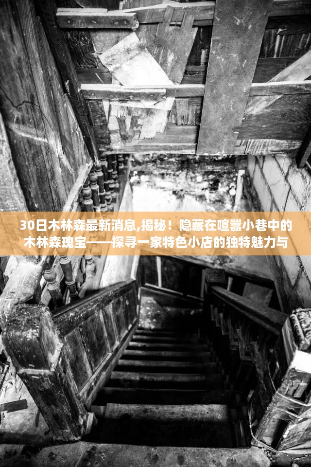 木林森瑰宝揭秘，探寻特色小店的独特魅力与最新动态