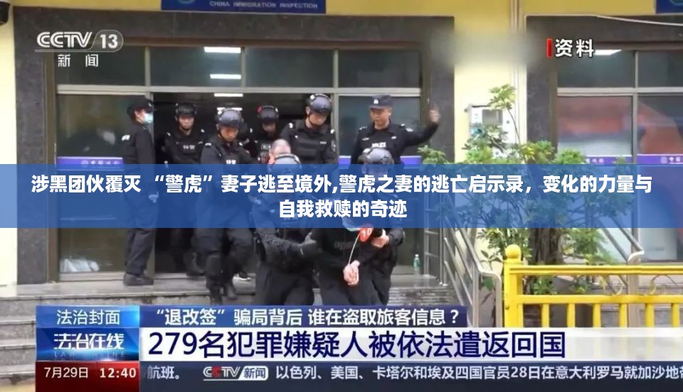 警虎之妻逃亡启示录，覆灭涉黑团伙背后的自我救赎与变化之力