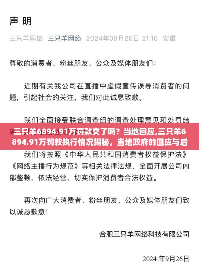 三只羊巨额罚款执行情况揭秘，当地回应与后续动态