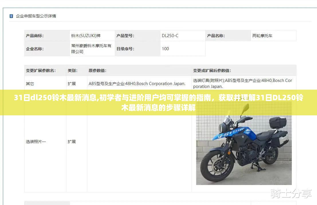 掌握最新消息，31日DL250铃木指南，初学者与进阶用户步骤详解