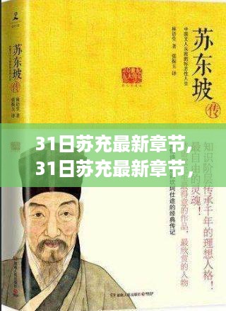 深度解析与阅读体验分享，苏充最新章节 31日