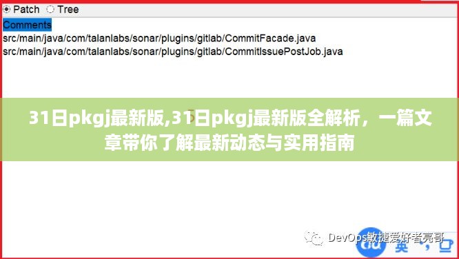 最新31日pkgj全解析，实用指南与动态更新速递