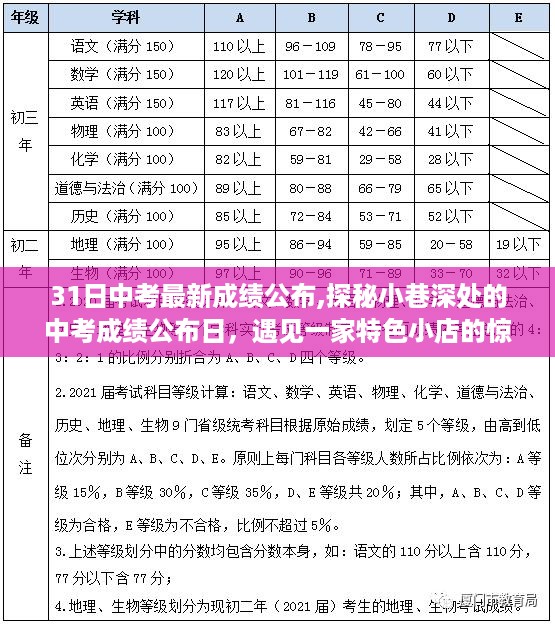 探秘中考成绩公布日，揭秘小巷深处的惊喜之旅与特色小店的奇遇记