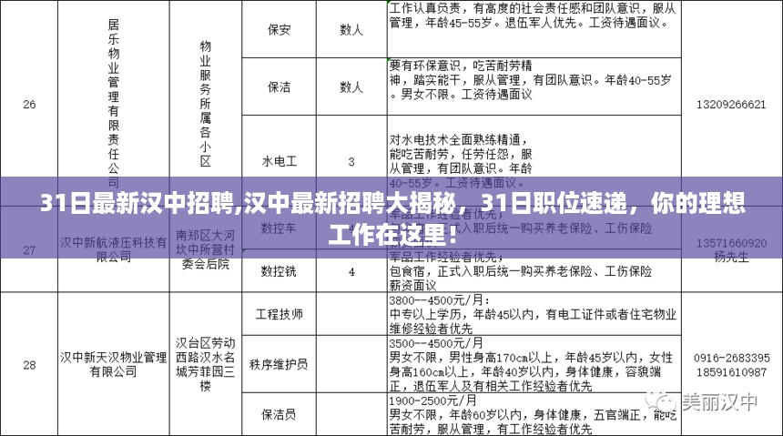 汉中最新招聘速递，31日职位大揭秘，理想工作等你发现！