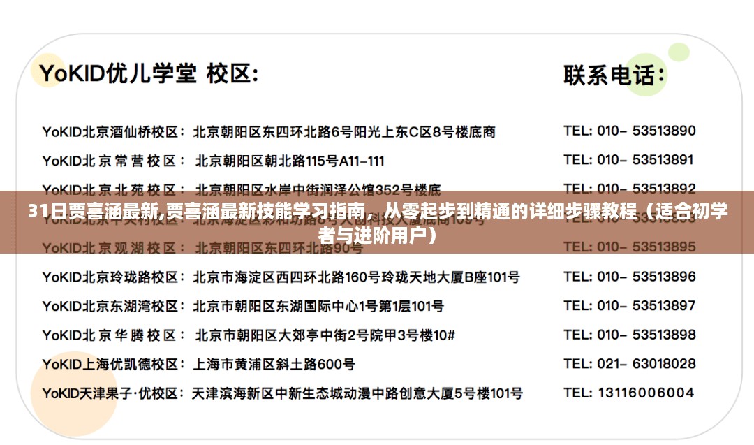 贾喜涵技能学习指南，从入门到精通的详细教程（适合初学者与进阶用户）