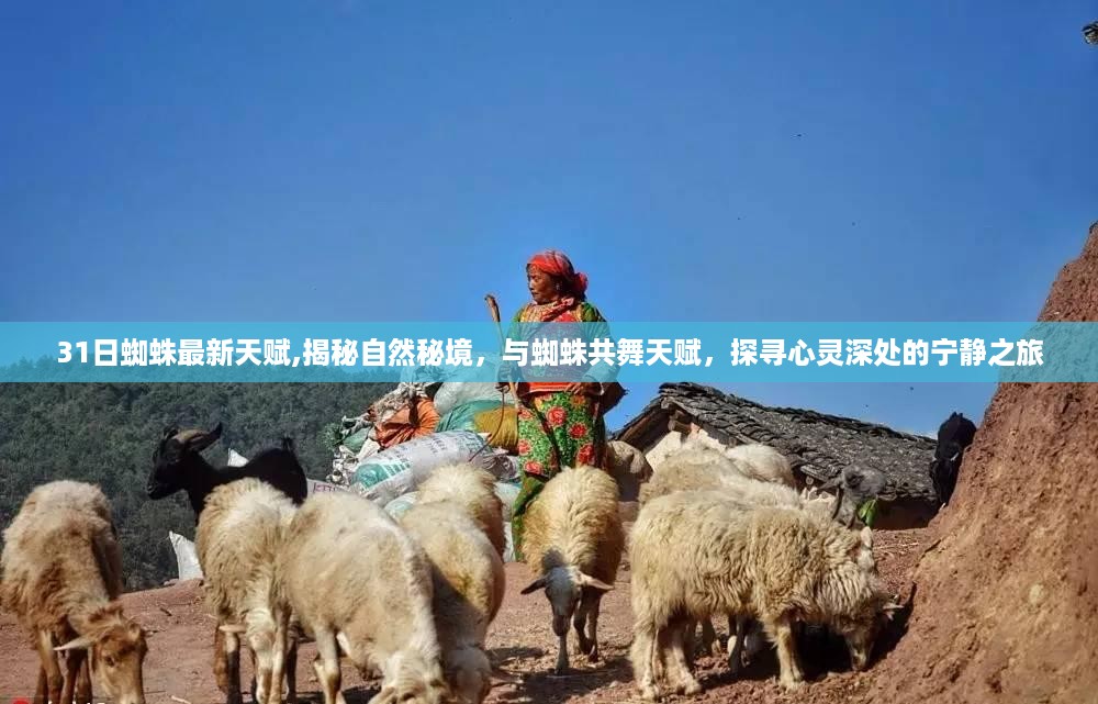 揭秘蜘蛛天赋，探寻自然秘境的心灵宁静之旅