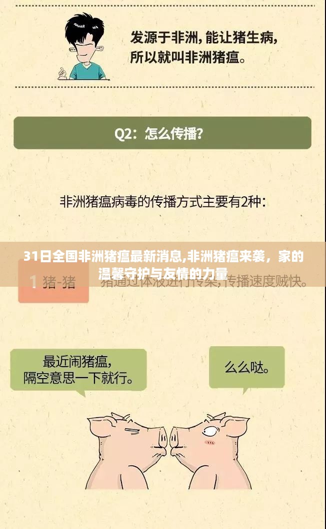 全国最新非洲猪瘟动态，家的守护与友情的力量