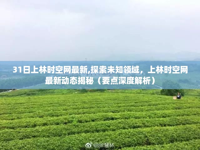 上林时空网最新动态揭秘，探索未知领域，深度解析最新动态