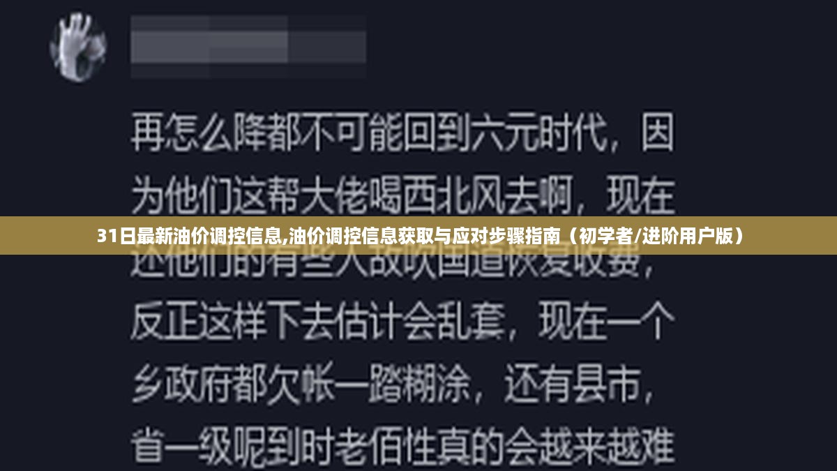 最新油价调控信息解读与应对指南，初学者到进阶用户的必备指南