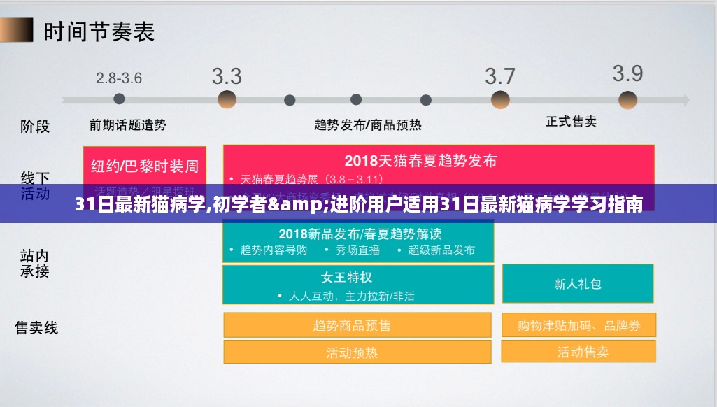 猫病学学习指南，初学者与进阶用户适用最新31日学习指南解析