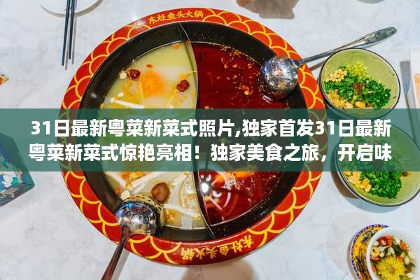 独家首发，最新粤菜新菜式惊艳亮相，开启味蕾盛宴的美食之旅！