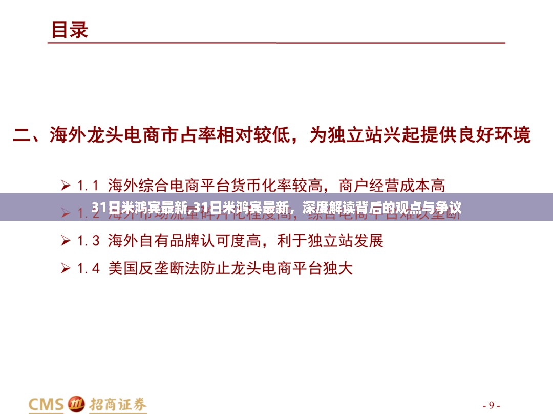 深度解读米鸿宾最新观点与争议，31日最新动态解析