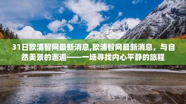 欧浦智网与自然美景的邂逅，探寻内心平静的旅程最新消息