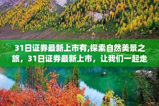 探索自然美景之旅，最新证券上市与宁静秘境之旅的双重惊喜