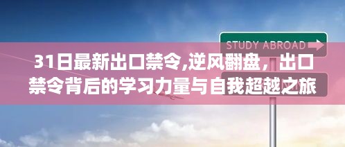 出口禁令背后的学习力量与自我超越之旅，逆风翻盘的新篇章