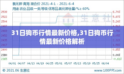 最新狗币行情解析，价格动态及市场趋势解析