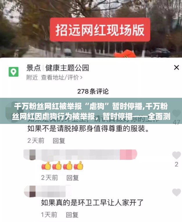 千万粉丝网红虐狗行为被举报，停播事件深度测评与分析