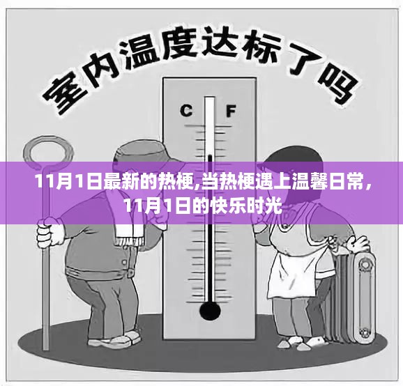 热梗遇温馨日常，11月1日的快乐时光