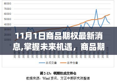 商品期权市场新篇章，掌握未来机遇，学习变化启示录