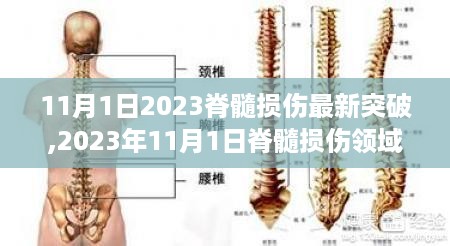 重大突破！脊髓损伤领域重塑康复之路，最新进展揭示于2023年11月