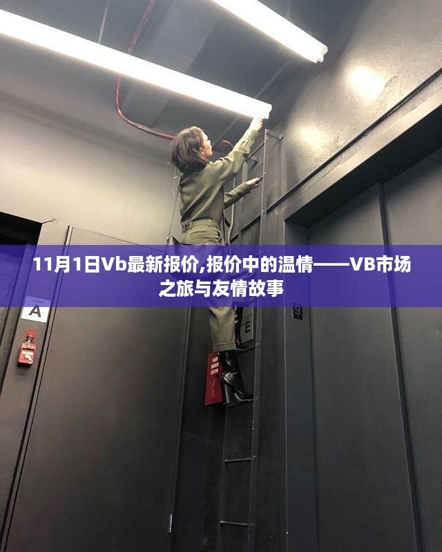 VB市场最新报价与温情之旅，友情故事交织的市场探索