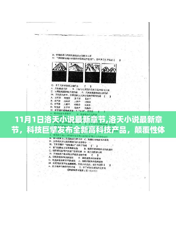 2024年11月 第1133页