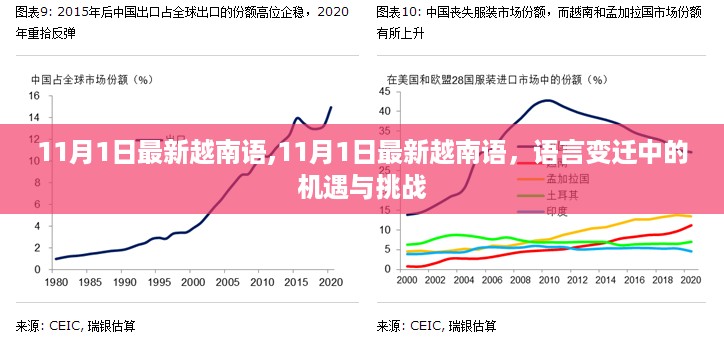 越南语最新动态，语言变迁中的机遇与挑战（附日期更新）