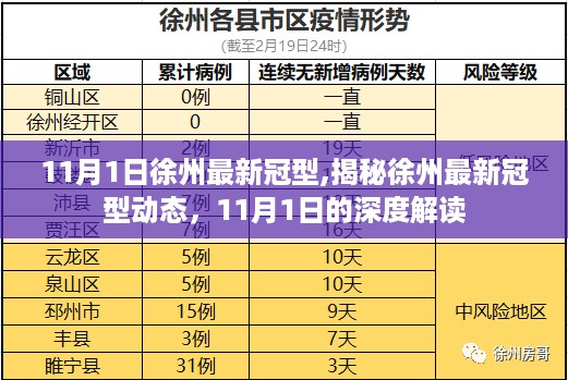 揭秘徐州最新冠型动态，深度解读11月1日最新状况