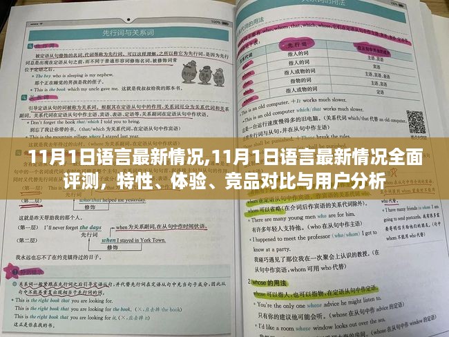 11月语言最新动态全面解析，特性、体验、竞品对比及用户分析