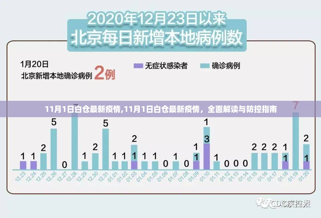 11月1日白仓最新疫情全面解读与防控指南