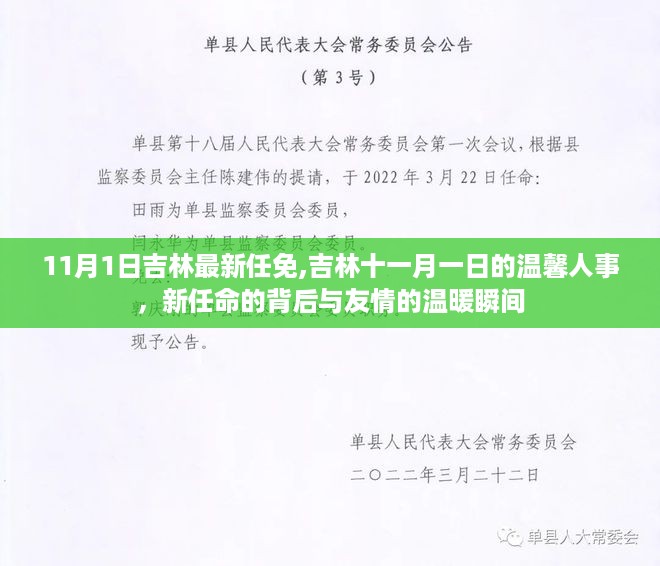 吉林11月1日人事任免，新任命的背后与友情的温暖瞬间