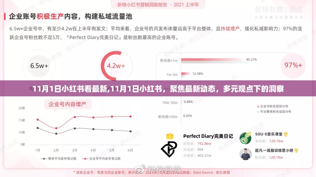 聚焦最新动态，多元观点下的洞察 —— 小红书11月1日最新动态解析