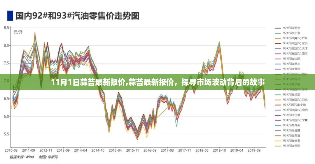 探寻市场波动背后的故事，11月1日蒜苔最新报价揭秘