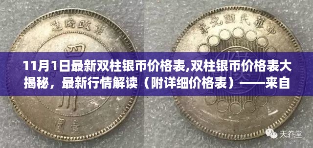 最新双柱银币价格表揭秘与行情解读，小红书独家分享