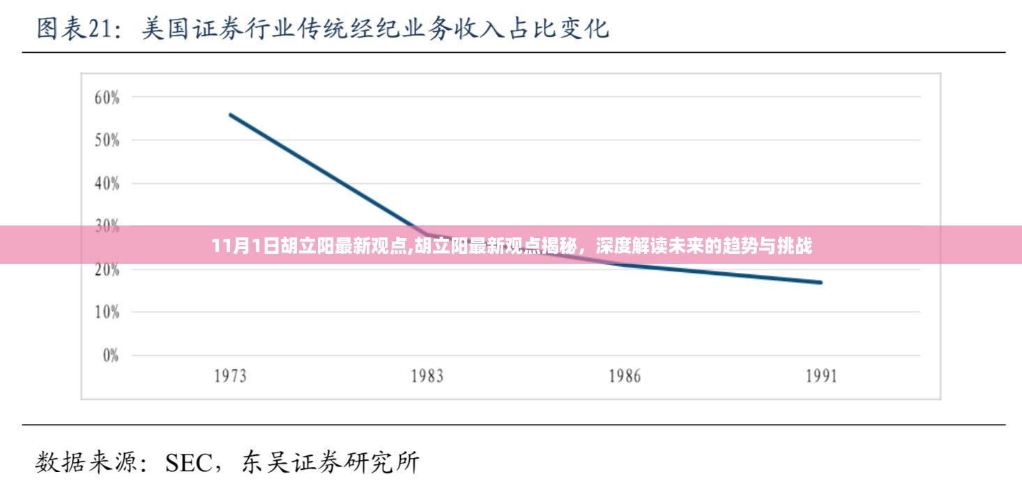 胡立阳最新观点揭秘，未来趋势与挑战的深度解读