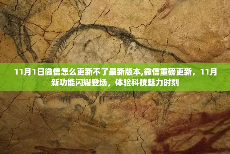 微信新功能闪耀登场，揭秘11月更新无法升级最新版本的解决方法与体验科技魅力时刻