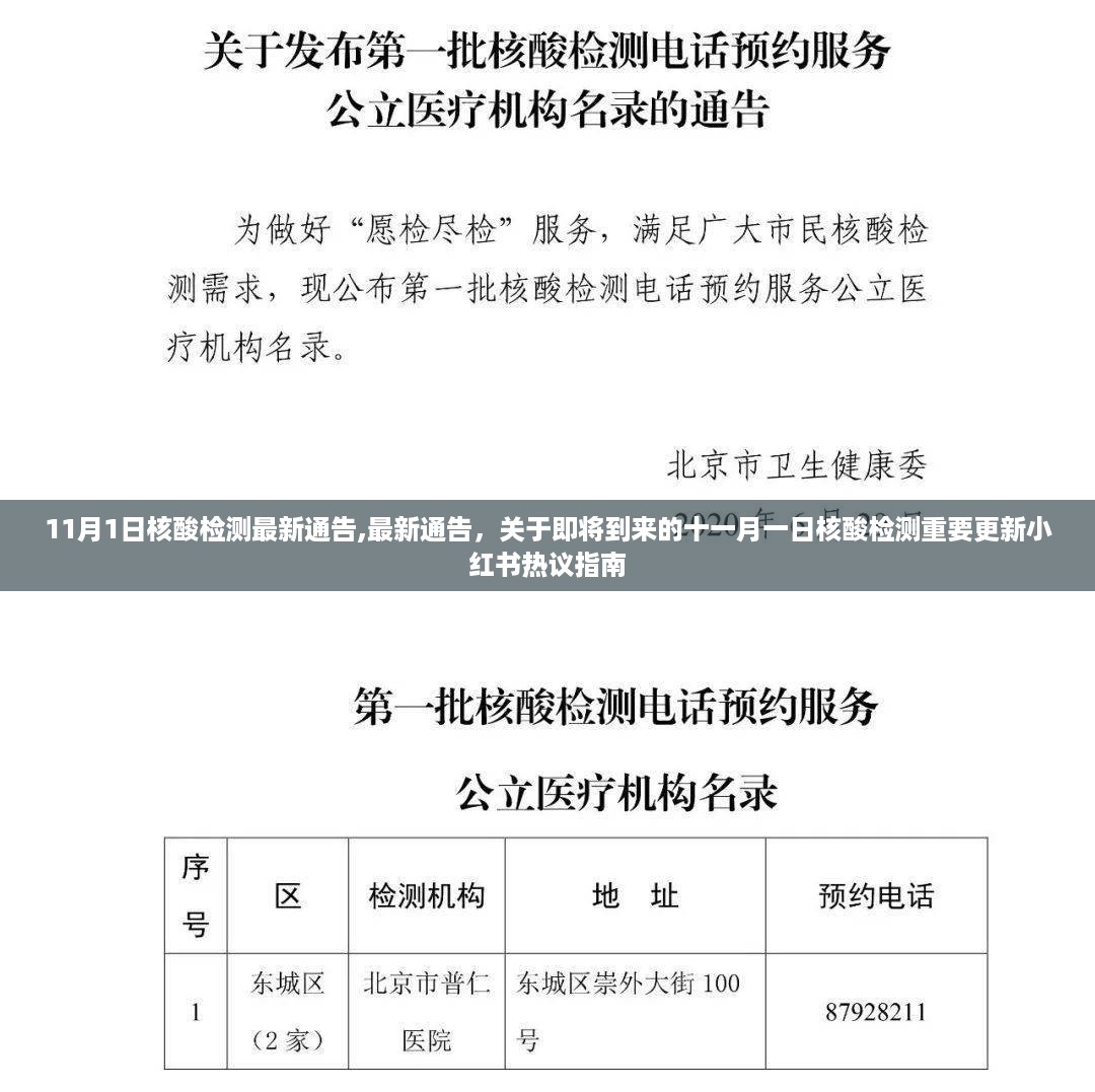 11月1日核酸检测最新通告，小红书热议的十一月一日核酸检测重要更新指南