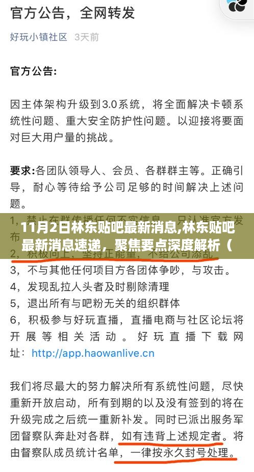 11月2日林东贴吧最新消息聚焦，深度解析今日热点