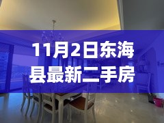 东海县最新二手房信息解读与分析，市场真实反映与个人观点剖析